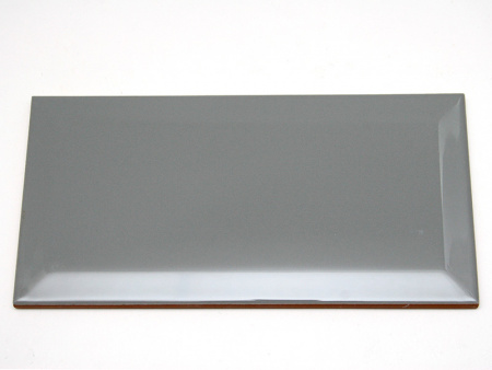 Керамическая плитка Biselado Plata Brillo 10x20 см